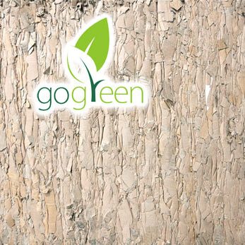 Go Green - Tencorr Packaging Inc.